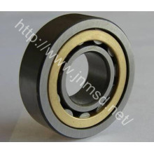 Auto Bearing, Rolling Bearing, Cylindrical Roller Bearing (NU218)